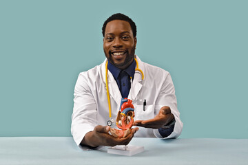 Doctor holding artificial heart model