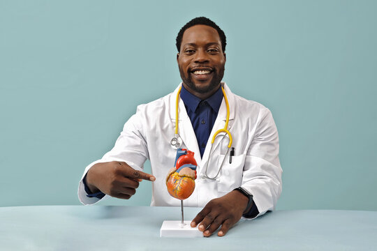 Portrait of smiling African American doctor pointing at heart model