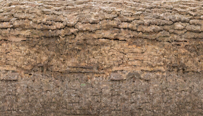 embossed texture of the bark of oak panoramic photo of the oak texture