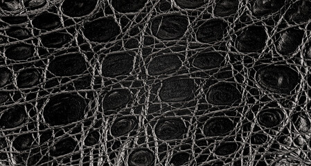 Background of natural crocodile leather. Texture of alligator skin. Black color. - obrazy, fototapety, plakaty