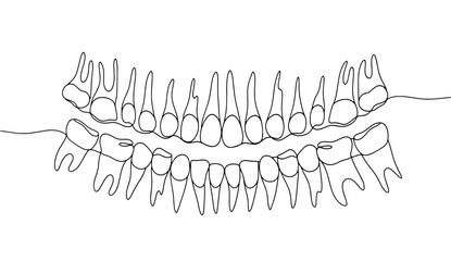 Dentition. Computer tomogram. One line © Anna