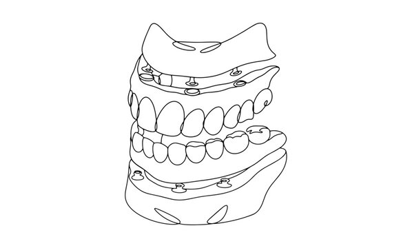 black and white teeth model line art clip art preview