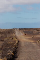unpaved desert road