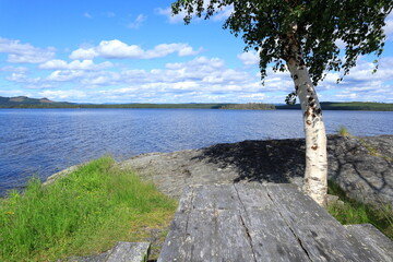 Land and water one summer day in July. Birch tree and a old wooden bench. Jämtland, Sweden.