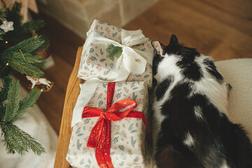 Cute cat sleeping on stylish christmas gifts on modern chair, relaxing on background of decorated...