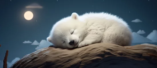 Foto op Aluminium Rendering Cute white baby bear animal sleeping on the Crescent moon © orendesain99