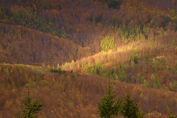 Fototapeta na wymiar Góry Sowie jesienią