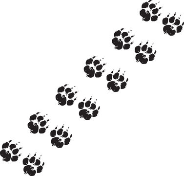 Vector ESP 10 trail of black and white claw prints on snow, depicting the sequential imprints of a predatory animal's powerful and sharp claws. The series of footprints