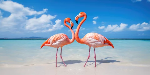 Fotobehang Pink Flamingos standing in the blue ocean © Karat