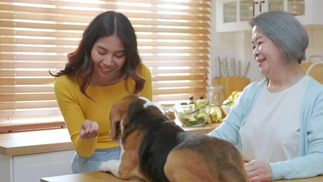 In a cozy home kitchen, a young Asian woman, her mother, and their beagle dog share a heartwarming portrait. This image embodies the concept of pet companionship and cute animals. Pet love