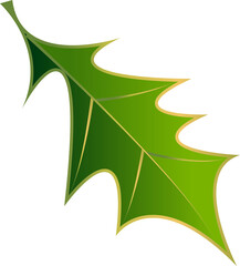 Holly. Christmas holly leaves .on transparent, png, illustration. Holly. Holly leaves and berries. symbol of Christmas