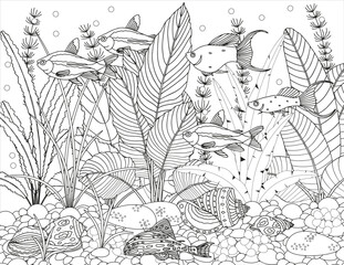 Coloring page for children and adults. Fabulous underwater world.