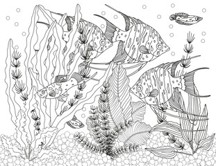 Coloring page for children and adults. Fabulous underwater world.