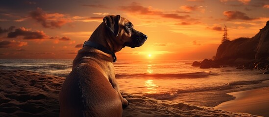 Dog sit at sand of beach enjoy during sunset. AI generated image - obrazy, fototapety, plakaty