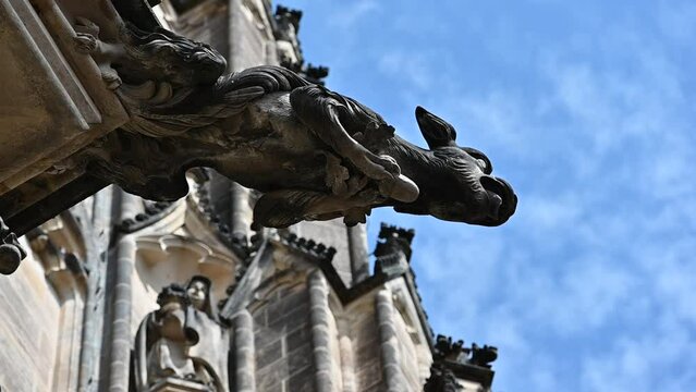 Prague, Czech Republic, August 4, 2023. Amazing footage with the detail of a gargoyle of St. Vitus Cathedral. The blurred background and the beautiful summer day enhance the figure of the statue.