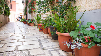 Fototapeta na wymiar A little cobbles street in a Mediterranean country