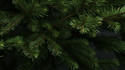 Fototapeta na wymiar The texture of green spruce, generative AI