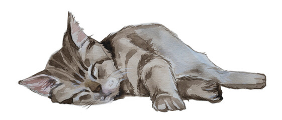 Watercolor sleeping kitten  painting. Kittens and cats food concept. Cat's face artistic illustration. Hand painted funny cat.