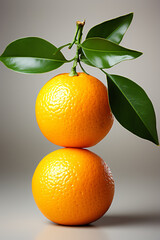 Portrait of tangerine. Ideal for your designs, banners or advertising graphics.
