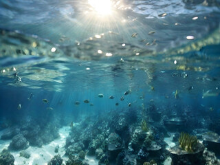 underwater view of the sea