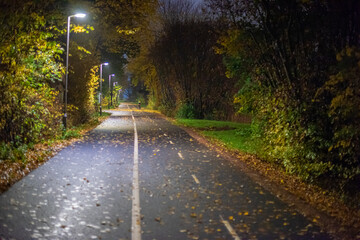Two lane bike path almost covered in leaves at night.