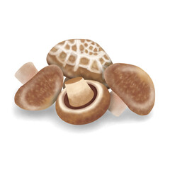 shiitake mushrooms vegetables and fruits 5 colors(white,brown)