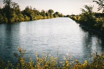 Scenic view of a river flowing through a green landscape