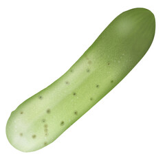 cucumber, vegetables and fruits 5 colors (green)