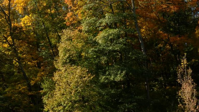"Temperate Climate" Images – Browse 29,231 Stock Photos, Vectors, and ...