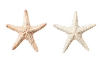 Fototapeta na wymiar two different types of white starfish isolated over a transparent background, ocean / sea / beach / summer vacation design element, flat lay / top view with subtle shadows