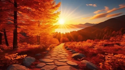 Foto op Aluminium Natural autumn landscape with the sun in the forest and a mountain of orange leaves. © Santy Hong