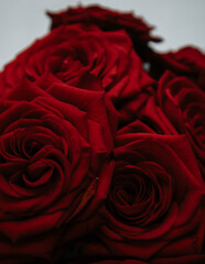 Naklejka premium close up of red roses