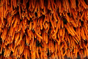 Carrot is one of the nutritious vegetable grown throughout the world. Commercial cultivation of...