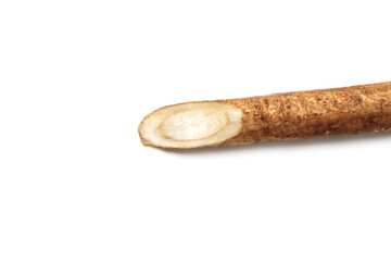 Burdock Root (Gobo) on white background.