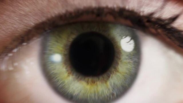 
Beautiful Macro Shot of Green Woman Eye Blinking. Pupil Opening. Zoom in to a Back Frame. Healthy Eyesight concept. Make up.