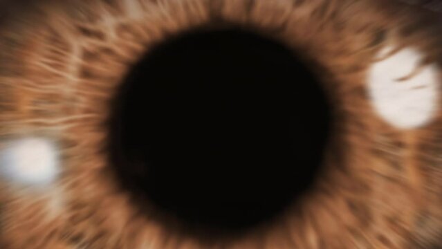 
Beautiful Brown Blinking Eye. Zoom in to an Infinite Black and Zoom out to Macro Close up. Eye Iris, Black Pupil Opening.
