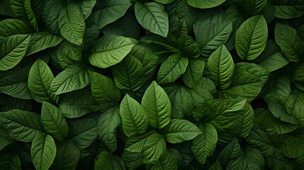 green natural background pattern, wallpaper background, pattern background - obrazy, fototapety, plakaty
