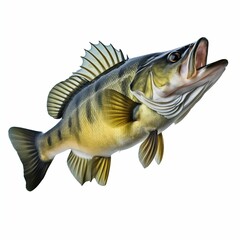 Aquatic Hunter: Largemouth Bass Fish Isolated on White Background. Generative ai