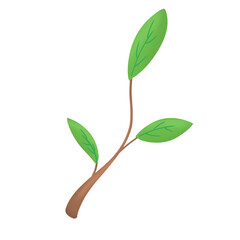 seedling