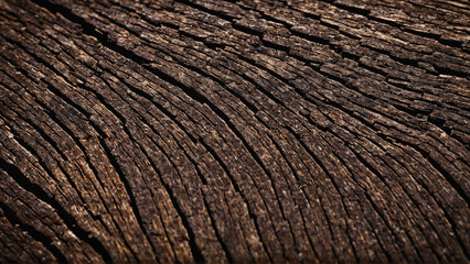 Fototapeta premium Tree texture