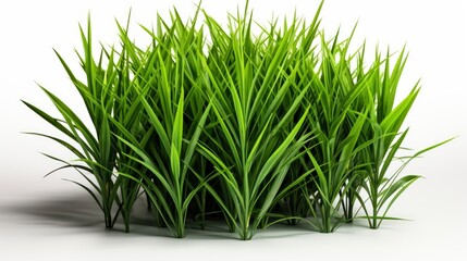 Green Grass, Abstract Background, Effect Background HD For Designer