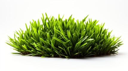 Green Grass, Abstract Background, Effect Background HD For Designer