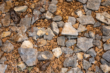 Truffle farm, cultivation of black winter Perigord truffles mushrooms, Tuber melanosporum, example of stones and soil for growing truffles on fields with oak trees