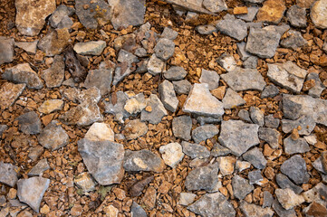 Truffle farm, cultivation of black winter Perigord truffles mushrooms, Tuber melanosporum, example of stones and soil for growing truffles on fields with oak trees