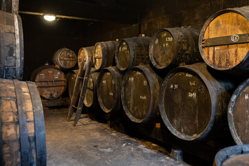 Aging process of cognac spirit in old French oak barrels in cellar in distillery in Cognac white...