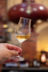 Tasting of cognac spirit aged in old French oak barrels in cellar in distillery in Cognac white wine region, Charente, Segonzac, Grand Champagne, France