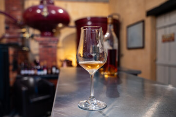 Tasting of cognac spirit aged in old French oak barrels in cellar in distillery in Cognac white wine region, Charente, Segonzac, Grand Champagne, France