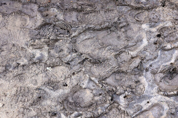 Foot mark on the jungle trail. Shoe prints on wet gravel or mud in mountain area outdoors