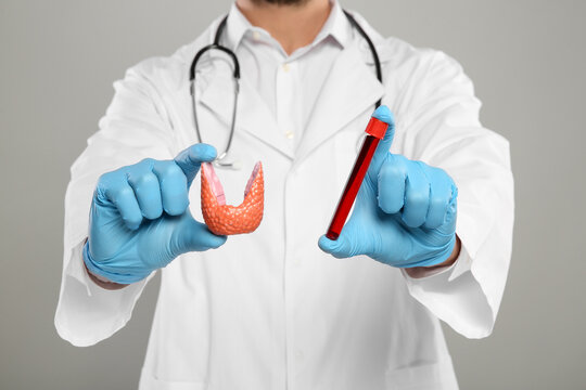 Endocrinologist showing thyroid gland model and blood sample on light grey background, closeup