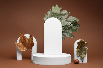 Autumn presentation for product. White geometric figures, dry leaves and acorn on brown background